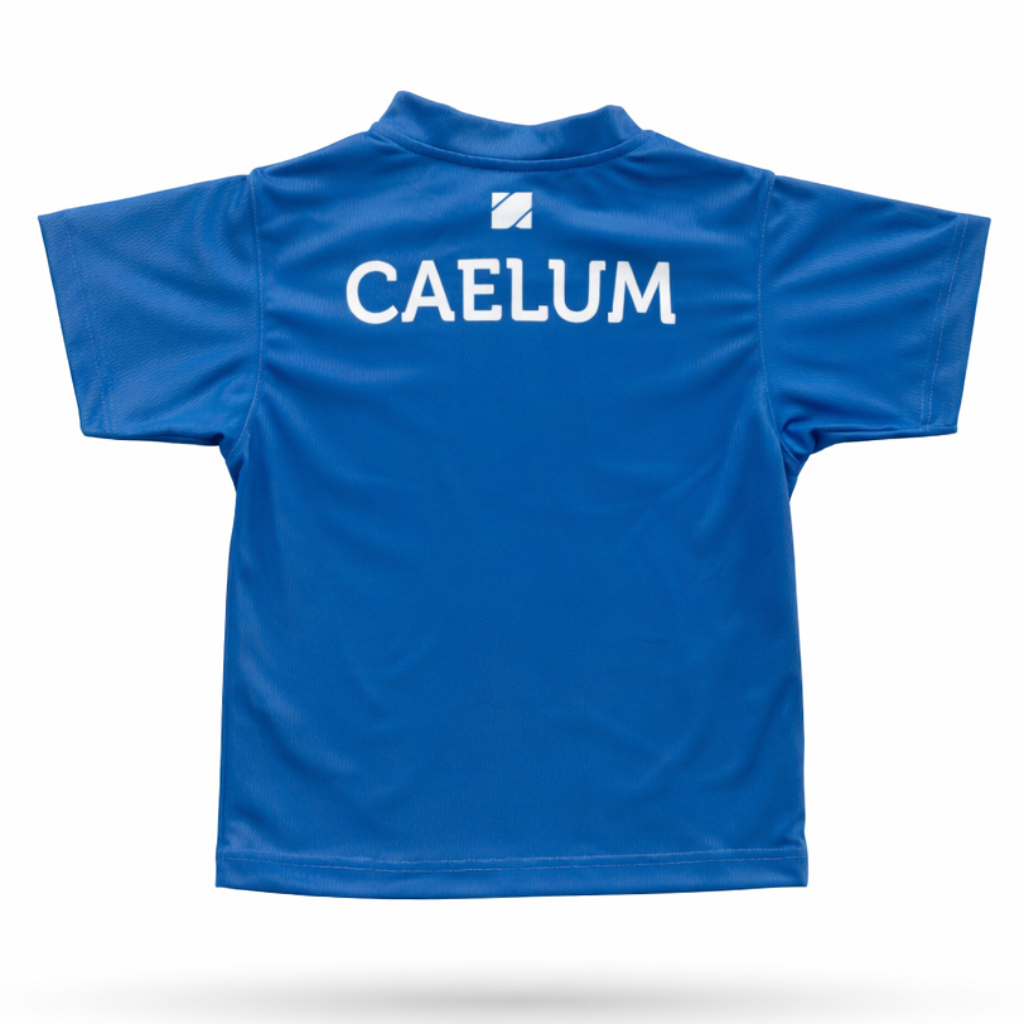 CAMISETA HOUSE CAELUM AZUL_2