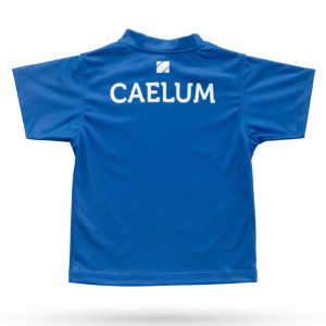 CAMISETA HOUSE CAELUM AZUL_2