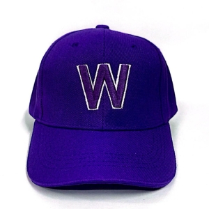 GORRA HOUSES WOLVES_1