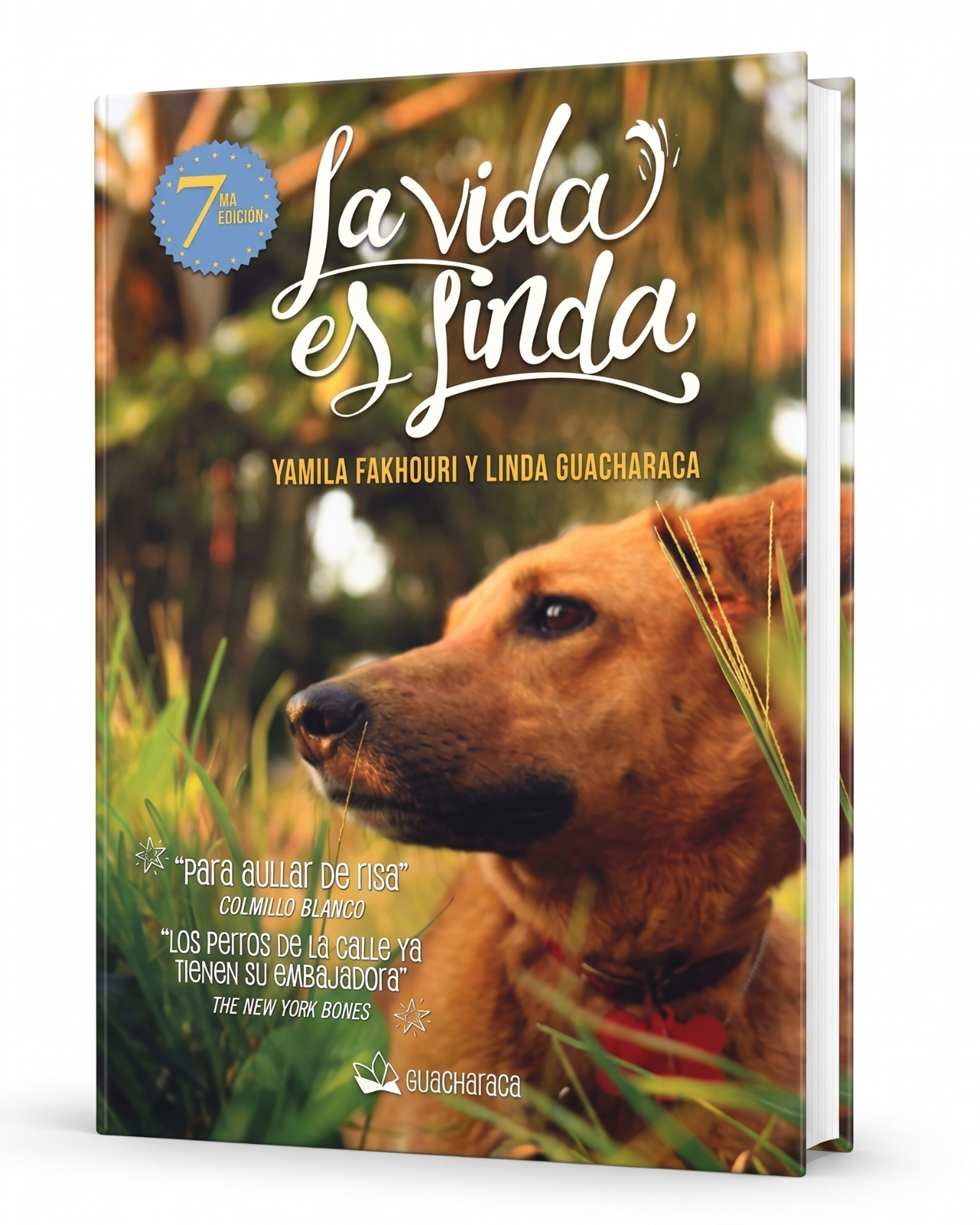 LA VIDA ES LINDA DE LINDA GUACHARACA_1
