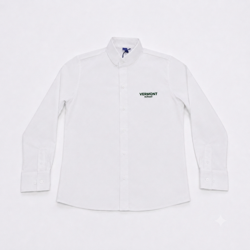 CAMISA DIARIO MASCULINO_2