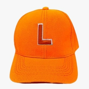 GORRA HOUSES LIONS_1