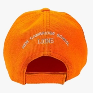 GORRA HOUSES LIONS_2
