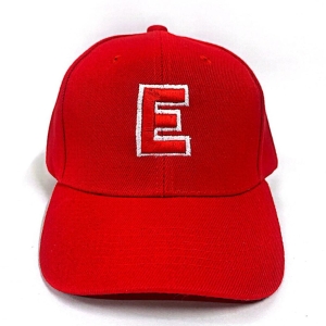 GORRA HOUSES EAGLES_1