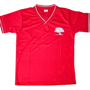 CAMISETA DEPORTIVA FISICA UNISEX_1