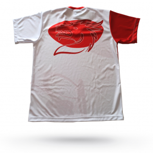 CAMISETA HOUSE_8