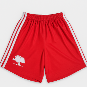 BERMUDA DE DEPORTE FISICA_1