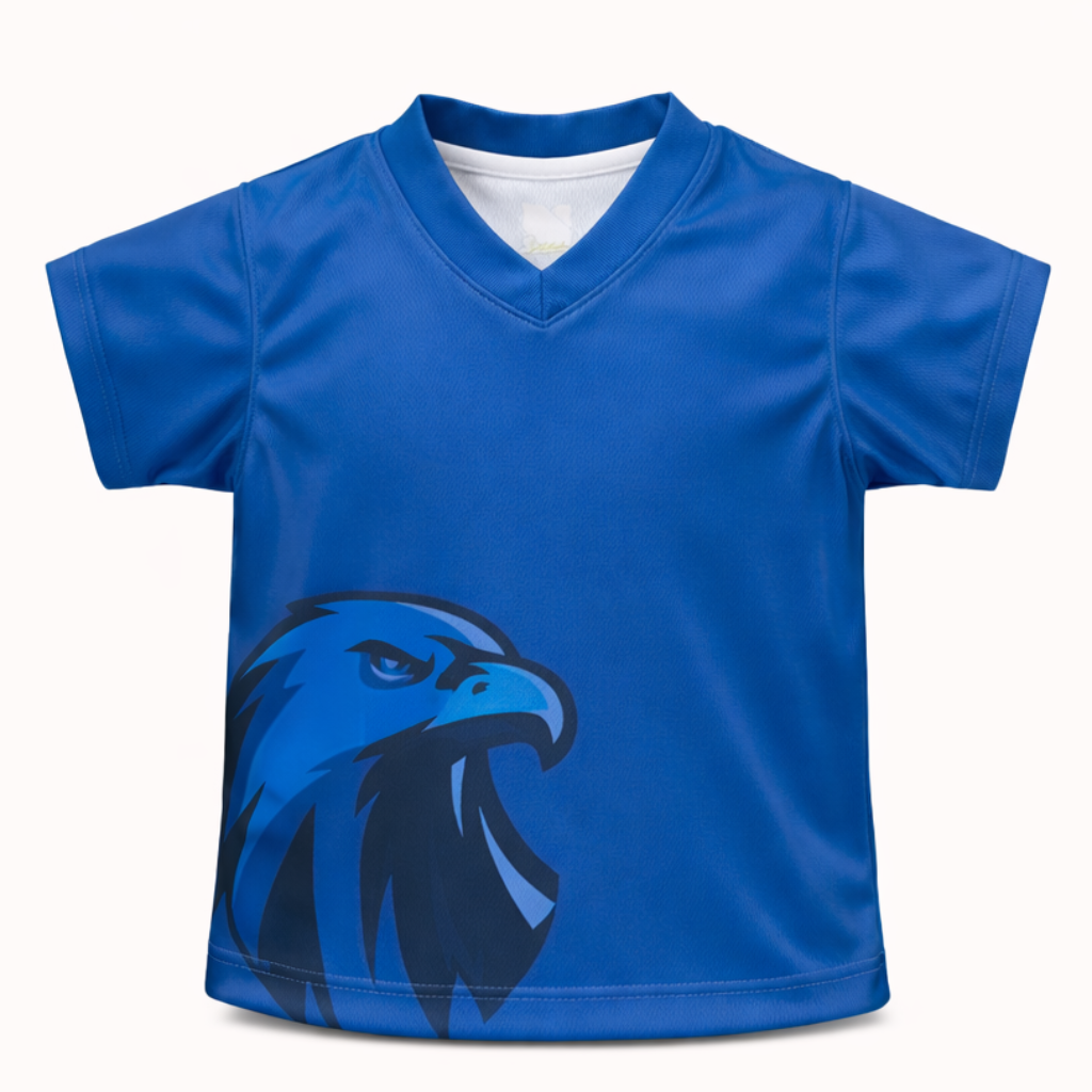 CAMISETA HOUSE CAELUM AZUL - Escool