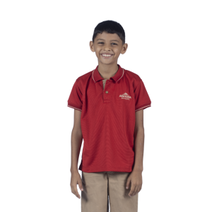 POLO_1