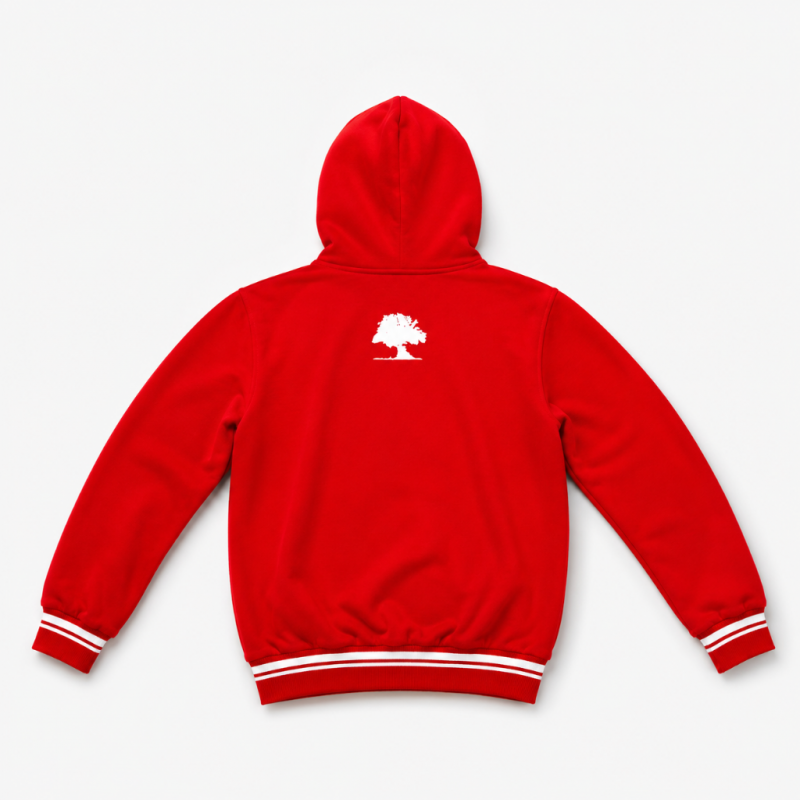BUZO HOODIE_2