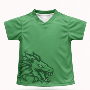 CAMISETA HOUSE DRACO VERDE_1