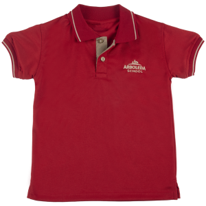 POLO_4