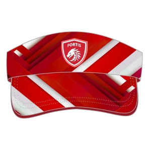 VISERA HOUSE FORTIS_1